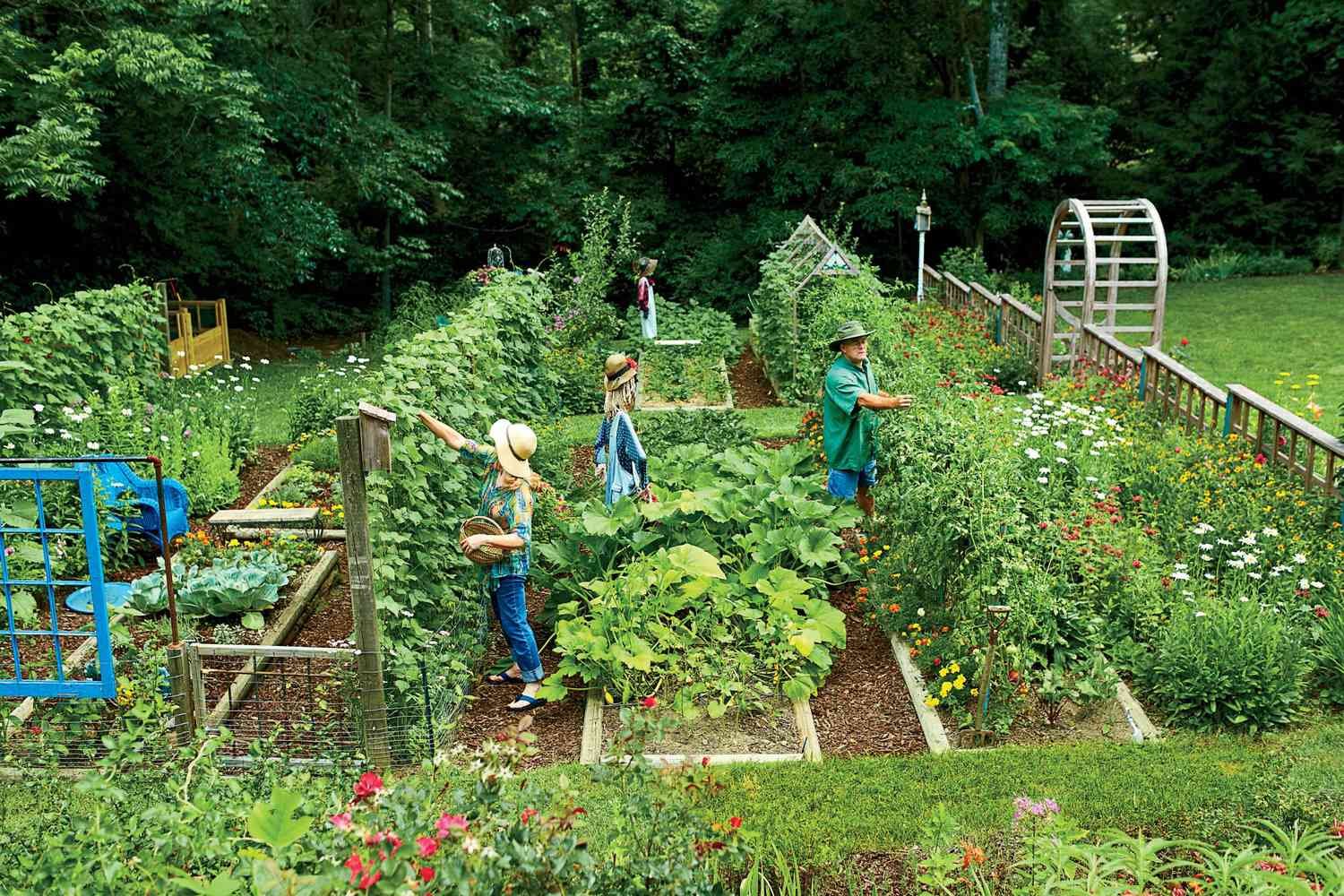 Small Space Doesn’t Mean Small Harvest